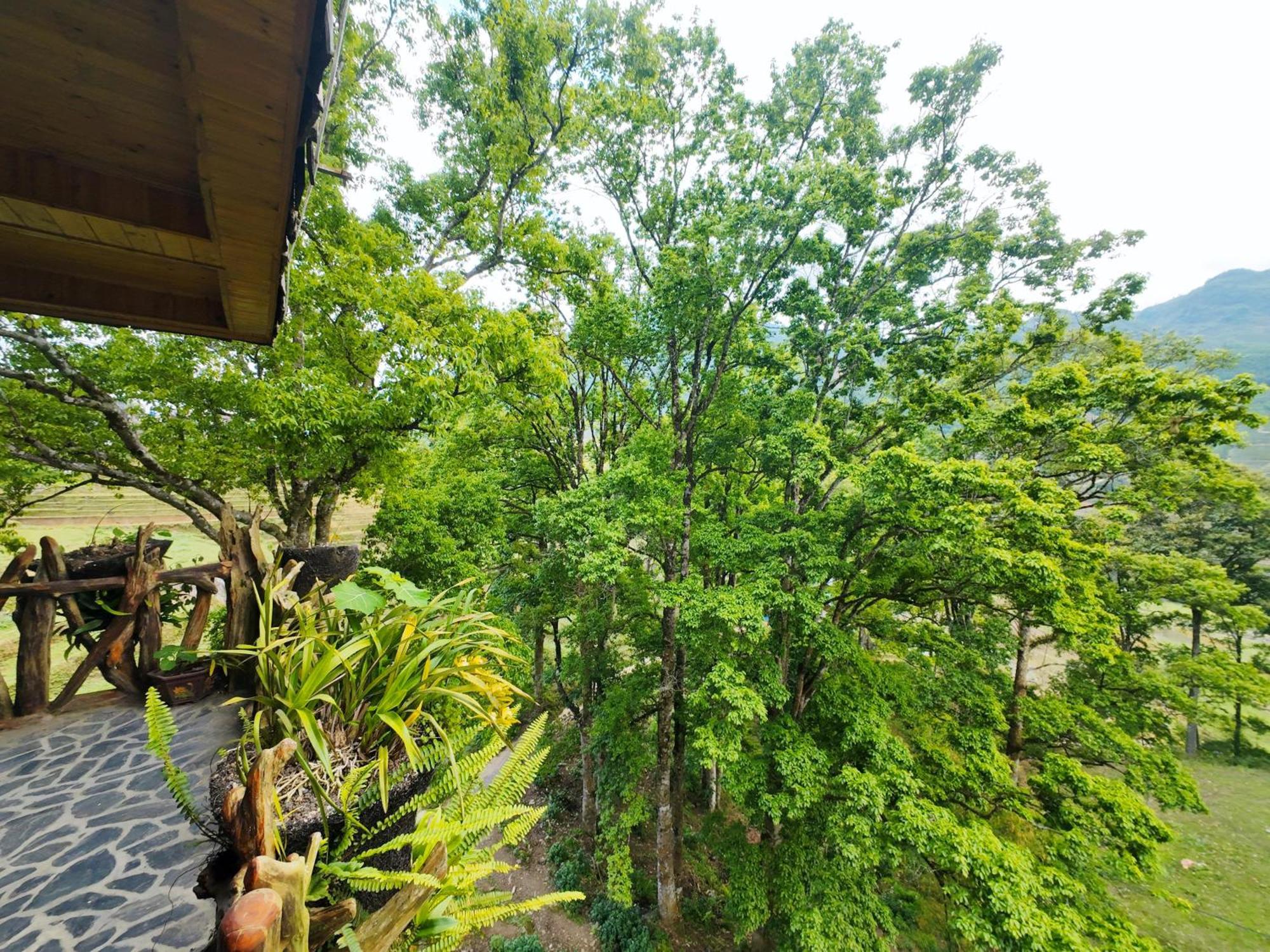 Mt House Sa Pa Hotel Exterior photo